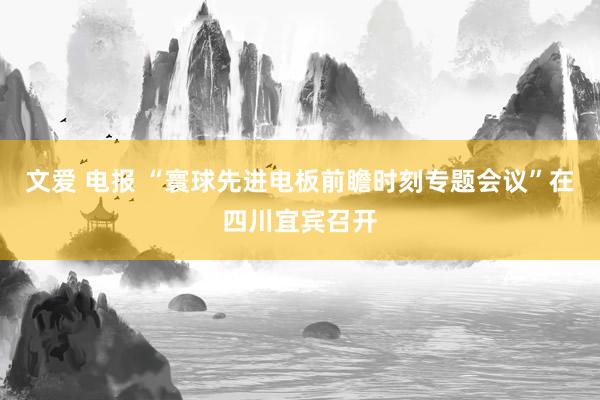 文爱 电报 “寰球先进电板前瞻时刻专题会议”在四川宜宾召开