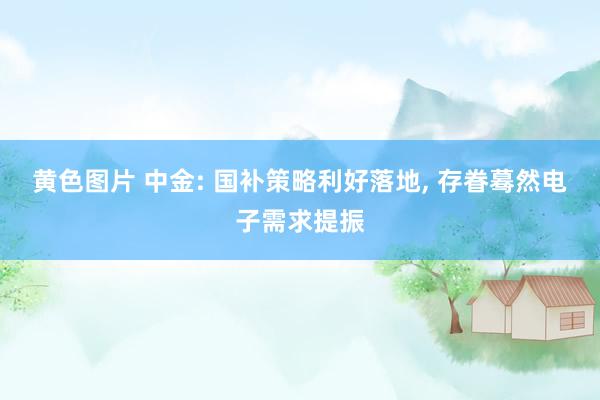 黄色图片 中金: 国补策略利好落地， 存眷蓦然电子需求提振