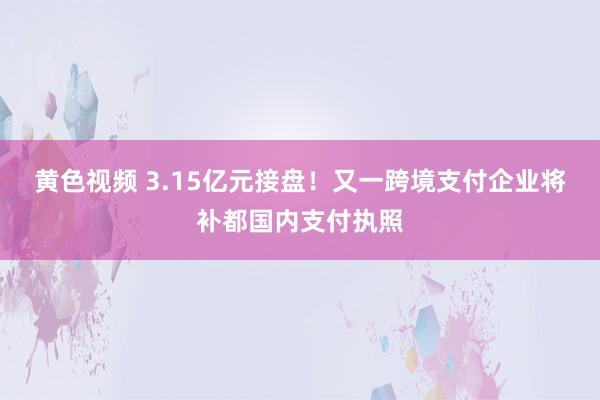 黄色视频 3.15亿元接盘！又一跨境支付企业将补都国内支付执照