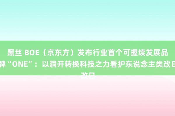 黑丝 BOE（京东方）发布行业首个可握续发展品牌“ONE”：以洞开转换科技之力看护东说念主类改日